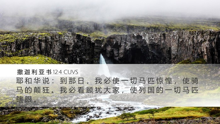 撒 迦 利 亚 书 12:4 CUVS Bible Verse Image