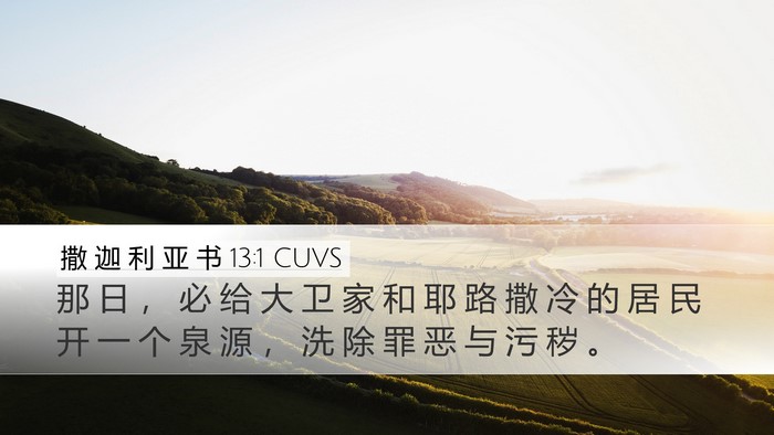 撒 迦 利 亚 书 13:1 CUVS Bible Verse Image