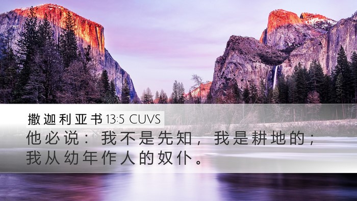 撒 迦 利 亚 书 13:5 CUVS Bible Verse Image