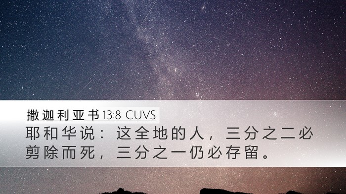 撒 迦 利 亚 书 13:8 CUVS Bible Verse Image