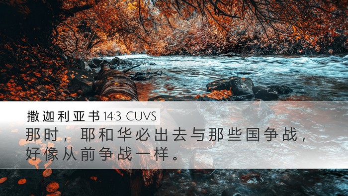 撒 迦 利 亚 书 14:3 CUVS Bible Verse Image