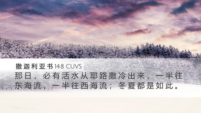 撒 迦 利 亚 书 14:8 CUVS Bible Verse Image