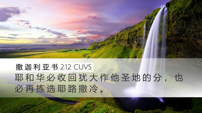 撒 迦 利 亚 书 2:12 CUVS Bible Verse Image