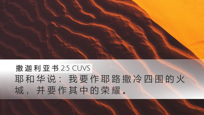 撒 迦 利 亚 书 2:5 CUVS Bible Verse Image