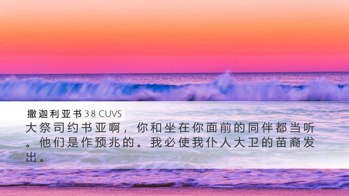 撒 迦 利 亚 书 3:8 CUVS Bible Verse Image