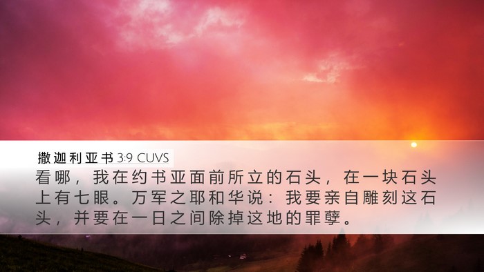 撒 迦 利 亚 书 3:9 CUVS Bible Verse Image