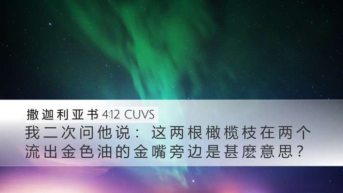 撒 迦 利 亚 书 4:12 CUVS Bible Verse Image