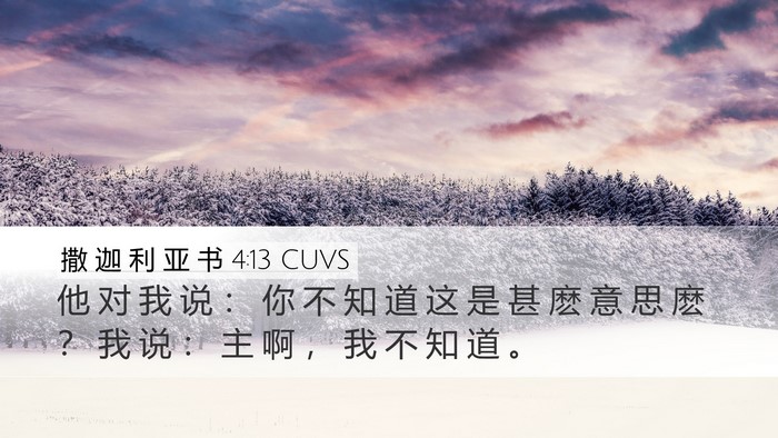 撒 迦 利 亚 书 4:13 CUVS Bible Verse Image