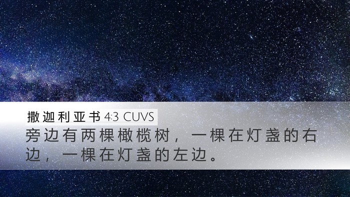 撒 迦 利 亚 书 4:3 CUVS Desktop Wallpaper - 旁 边 有 两 棵 橄 榄 树 ， 一 棵 在 - Desktop Bible Verse Wallpaper
