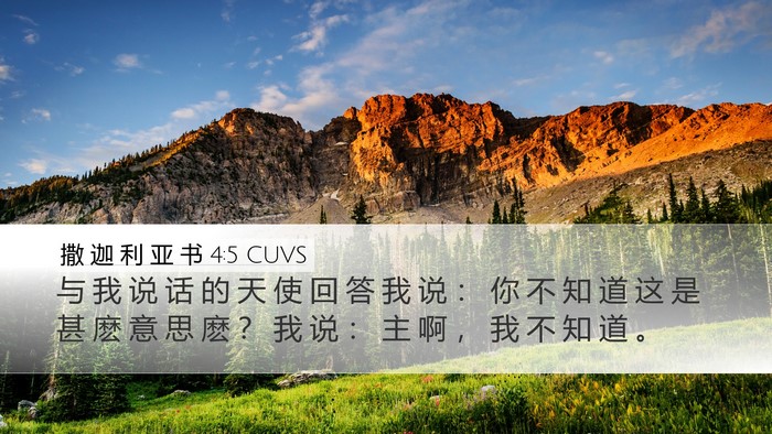 撒 迦 利 亚 书 4:5 CUVS Bible Verse Image