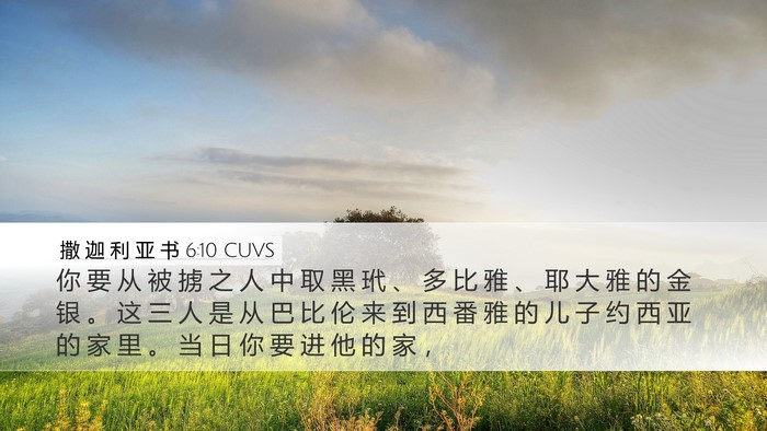 撒 迦 利 亚 书 6:10 CUVS Bible Verse Image