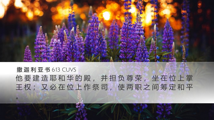 撒 迦 利 亚 书 6:13 CUVS Bible Verse Image