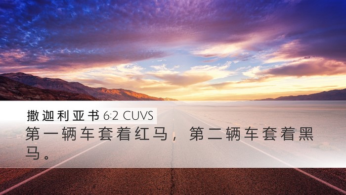 撒 迦 利 亚 书 6:2 CUVS Bible Verse Image
