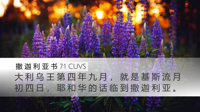 撒 迦 利 亚 书 7:1 CUVS Bible Verse Image