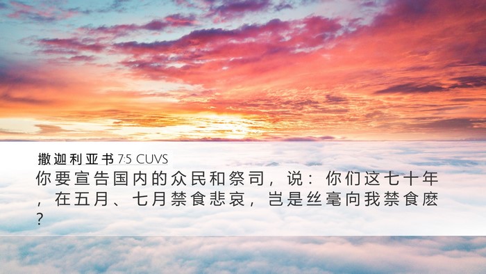 撒 迦 利 亚 书 7:5 CUVS Bible Verse Image