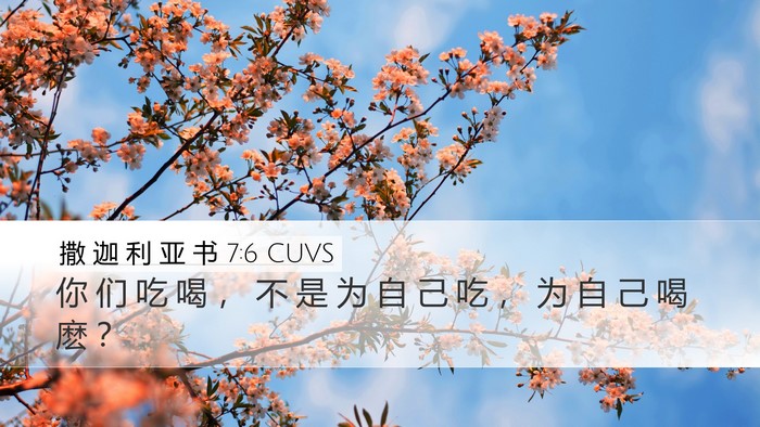 撒 迦 利 亚 书 7:6 CUVS Bible Verse Image