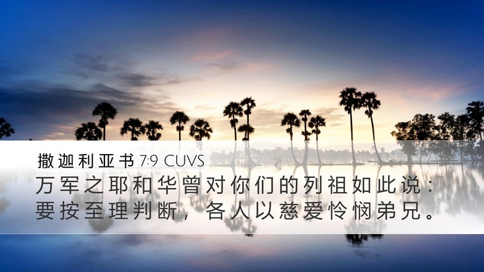撒 迦 利 亚 书 7:9 CUVS Bible Verse Image