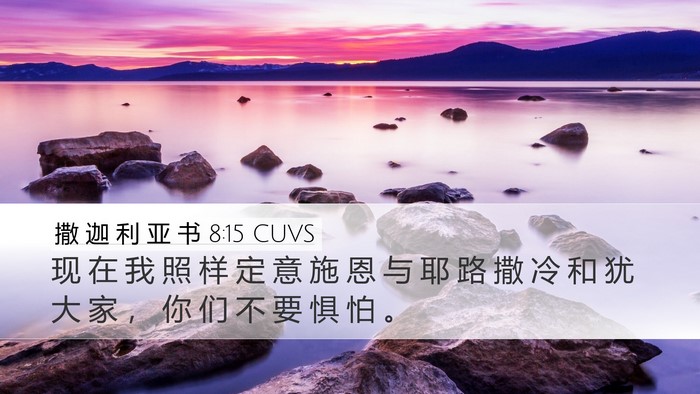 撒 迦 利 亚 书 8:15 CUVS Bible Verse Image