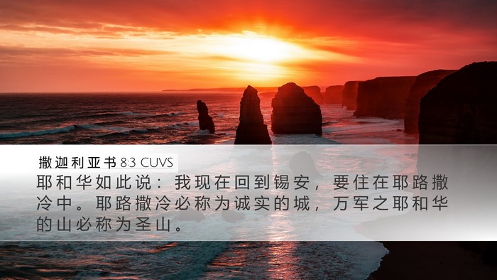 撒 迦 利 亚 书 8:3 CUVS Bible Verse Image