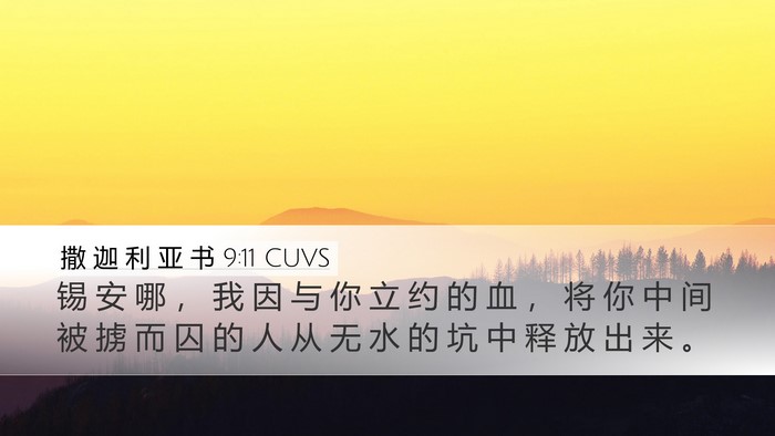 撒 迦 利 亚 书 9:11 CUVS Bible Verse Image