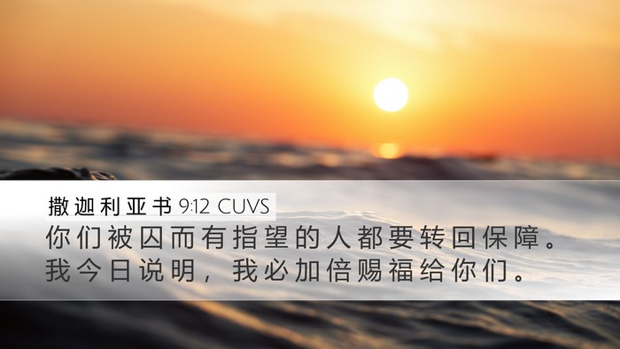 撒 迦 利 亚 书 9:12 CUVS Bible Verse Image