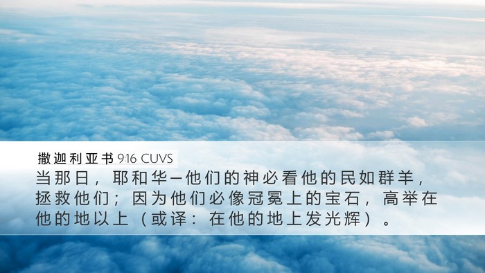 撒 迦 利 亚 书 9:16 CUVS Bible Verse Image