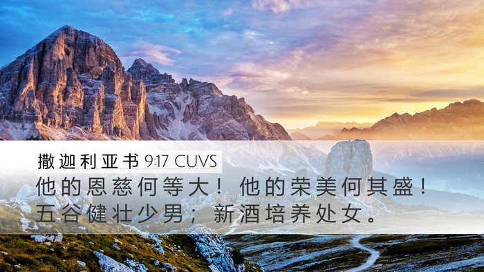 撒 迦 利 亚 书 9:17 CUVS Bible Verse Image