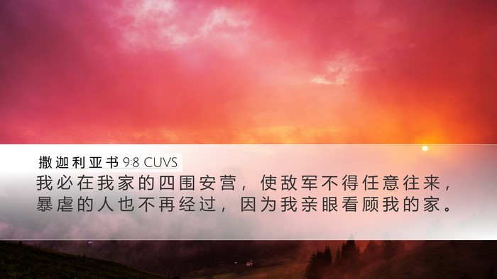 撒 迦 利 亚 书 9:8 CUVS Bible Verse Image