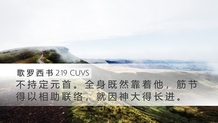 歌 罗 西 书 2:19 CUVS Bible Verse Image
