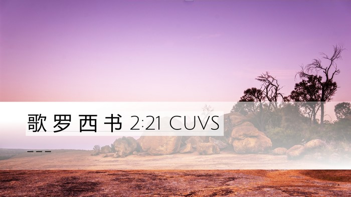 歌 罗 西 书 2:21 CUVS Bible Verse Image