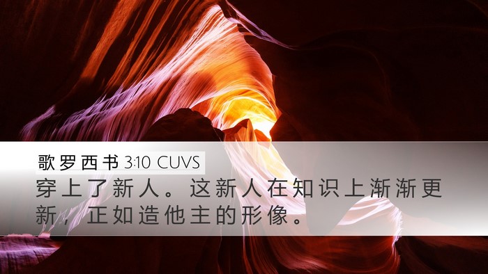 歌 罗 西 书 3:10 CUVS Bible Verse Image