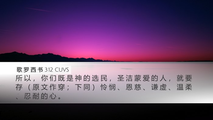 歌 罗 西 书 3:12 CUVS Bible Verse Image