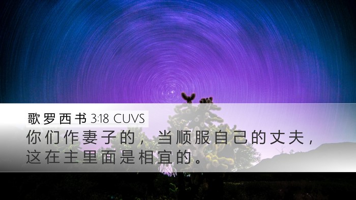 歌 罗 西 书 3:18 CUVS Bible Verse Image