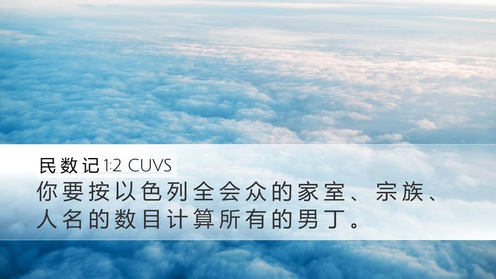 民 数 记 1:2 CUVS Bible Verse Image