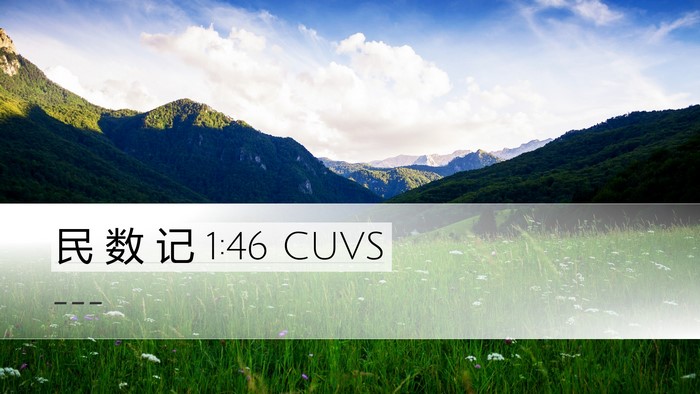 民 数 记 1:46 CUVS Bible Verse Image