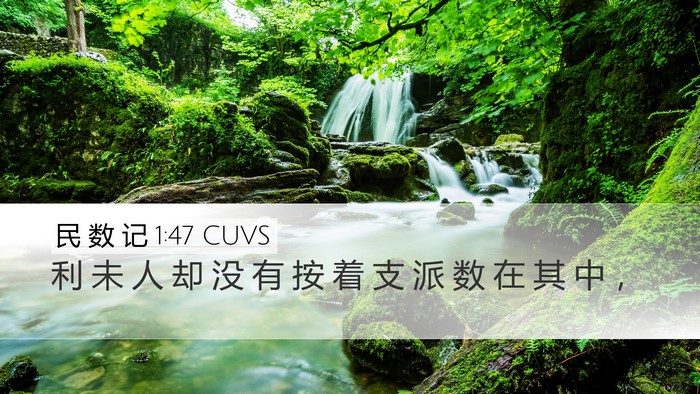 民 数 记 1:47 CUVS Desktop Wallpaper - 利 未 人 却 没 有 按 着 支 派 数 在 - Desktop Bible Verse Wallpaper