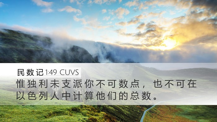 民 数 记 1:49 CUVS Bible Verse Image