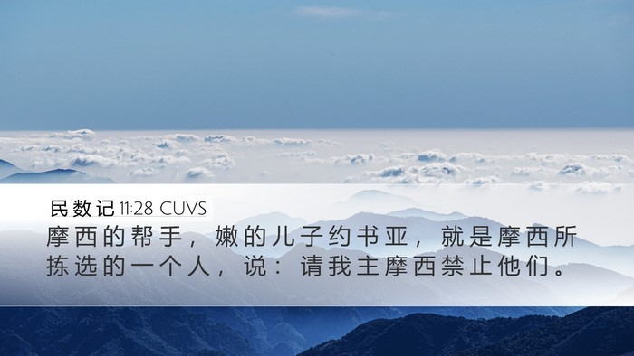 民 数 记 11:28 CUVS Bible Verse Image