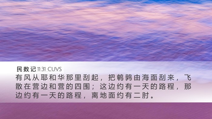 民 数 记 11:31 CUVS Bible Verse Image