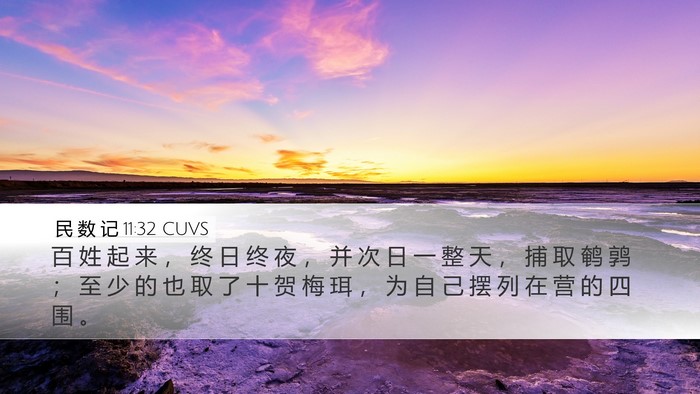 民 数 记 11:32 CUVS Desktop Wallpaper - 百 姓 起 来 ， 终 日 终 夜 ， 并 次 - Desktop Bible Verse Wallpaper
