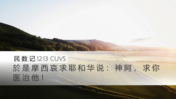 民 数 记 12:13 CUVS Desktop Wallpaper - 於 是 摩 西 哀 求 耶 和 华 说 ： 神 - Desktop Bible Verse Wallpaper