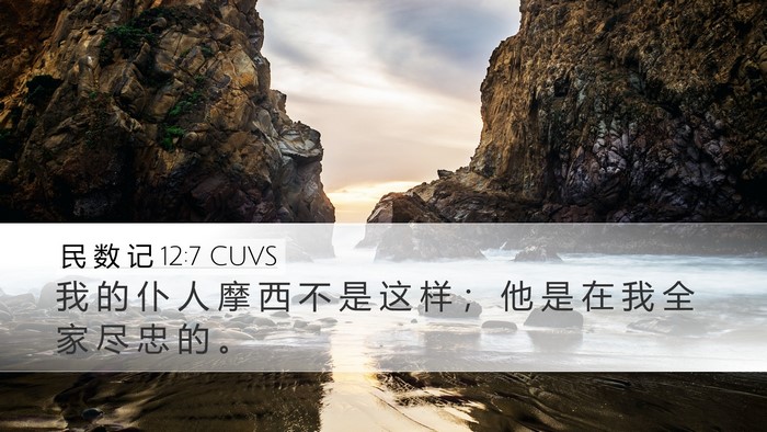 民 数 记 12:7 CUVS Bible Verse Image