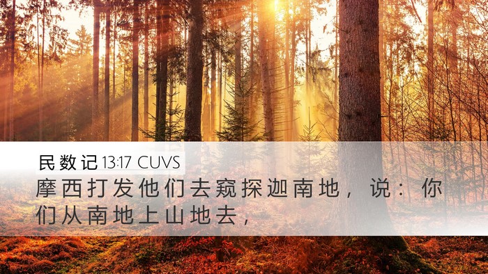 民 数 记 13:17 CUVS Desktop Wallpaper - 摩 西 打 发 他 们 去 窥 探 迦 南 地 - Desktop Bible Verse Wallpaper