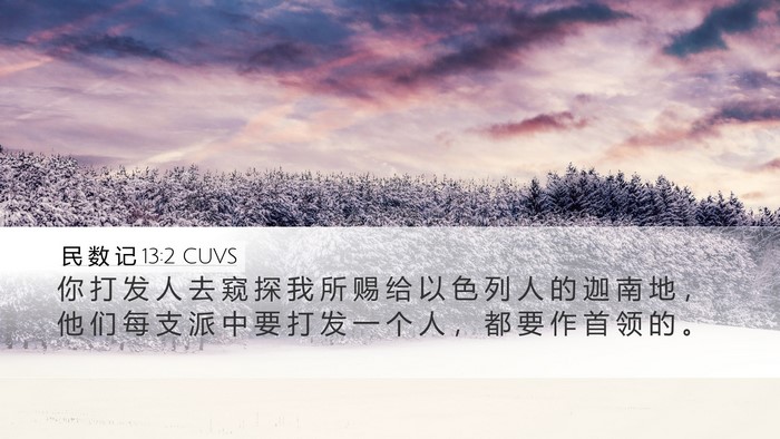 民 数 记 13:2 CUVS Desktop Wallpaper - 你 打 发 人 去 窥 探 我 所 赐 给 以 - Desktop Bible Verse Wallpaper