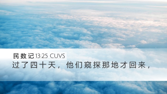 民 数 记 13:25 CUVS Desktop Wallpaper - 过 了 四 十 天 ， 他 们 窥 探 那 地 - Desktop Bible Verse Wallpaper
