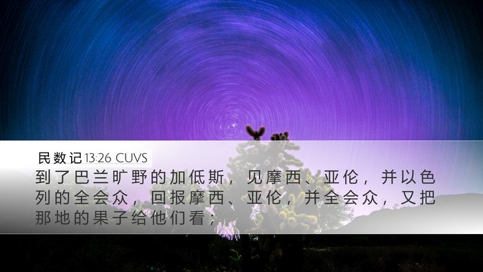 民 数 记 13:26 CUVS Bible Verse Image
