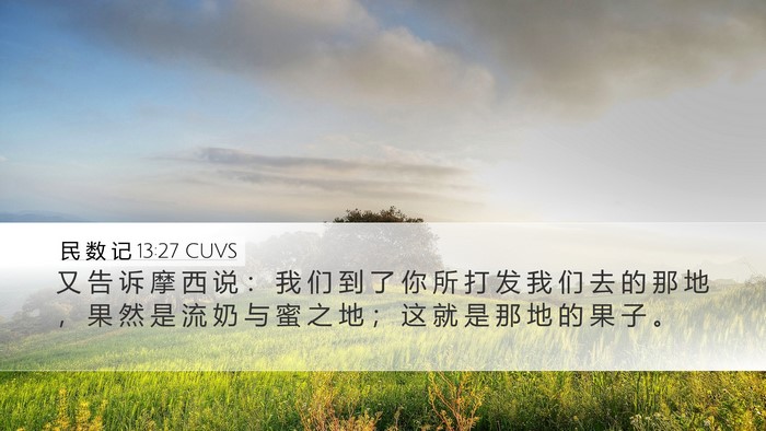 民 数 记 13:27 CUVS Bible Verse Image