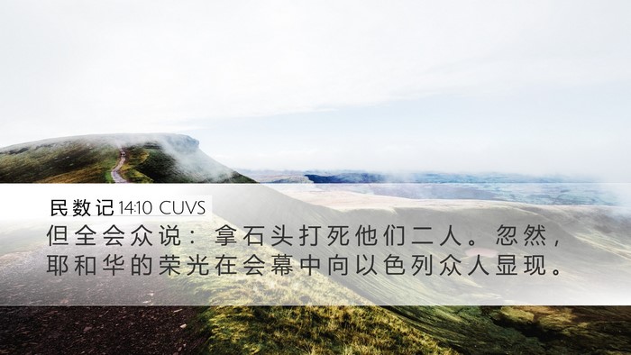 民 数 记 14:10 CUVS Desktop Wallpaper - 但 全 会 众 说 ： 拿 石 头 打 死 他 - Desktop Bible Verse Wallpaper