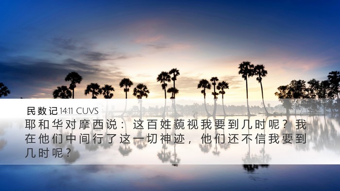 民 数 记 14:11 CUVS Bible Verse Image