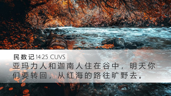 民 数 记 14:25 CUVS Bible Verse Image